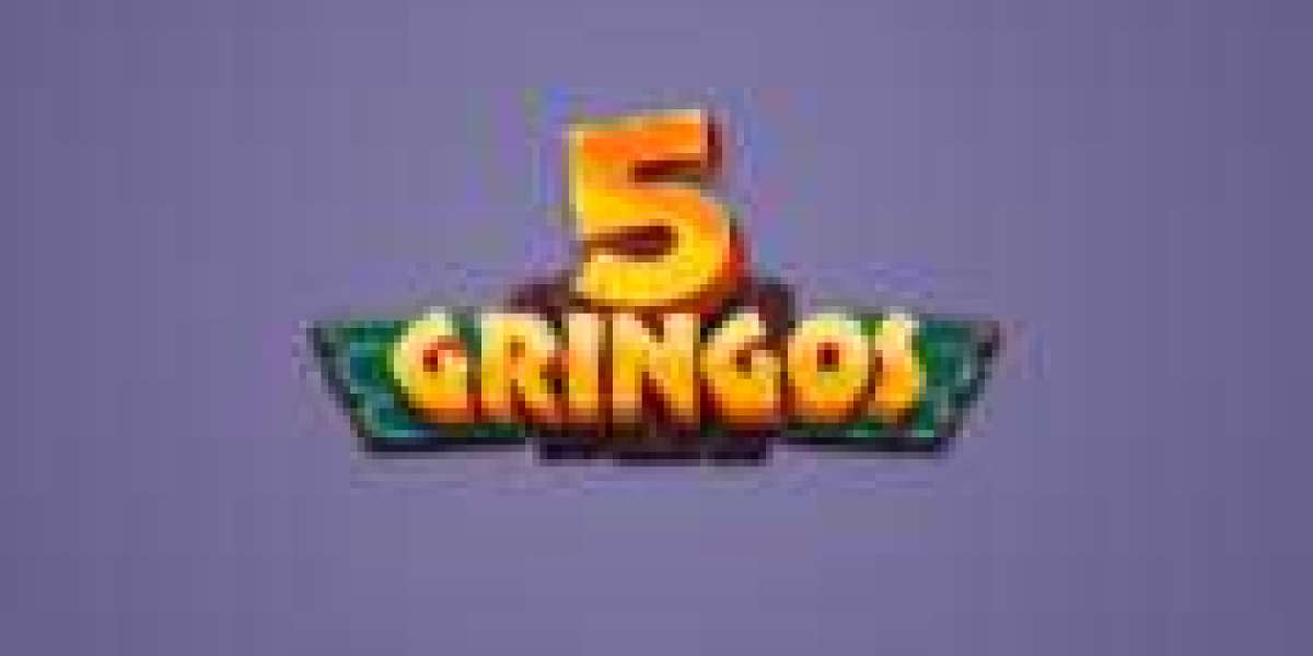 What The Pentagon Can Teach You About Gringo Erfahrungen