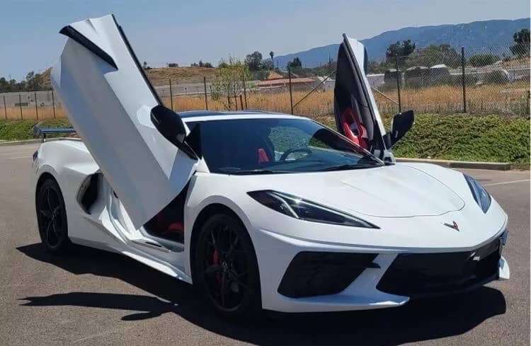 Sancho Burner Profile Picture