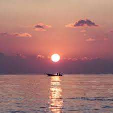 dawdsaf dawd Profile Picture