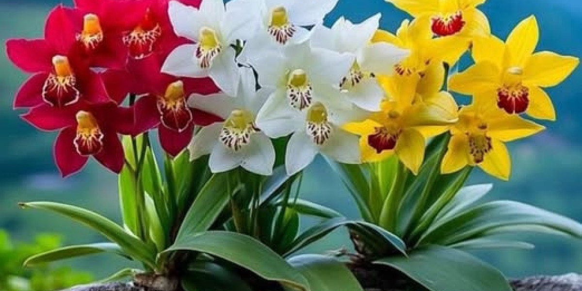 Fresh York Giants indicator CB T.J. Moore following novice minicamp tryout