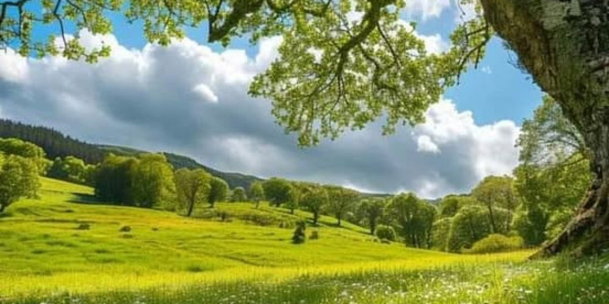 Overcome Crimson Site Groupthink: Texans decline toward the Chiefs