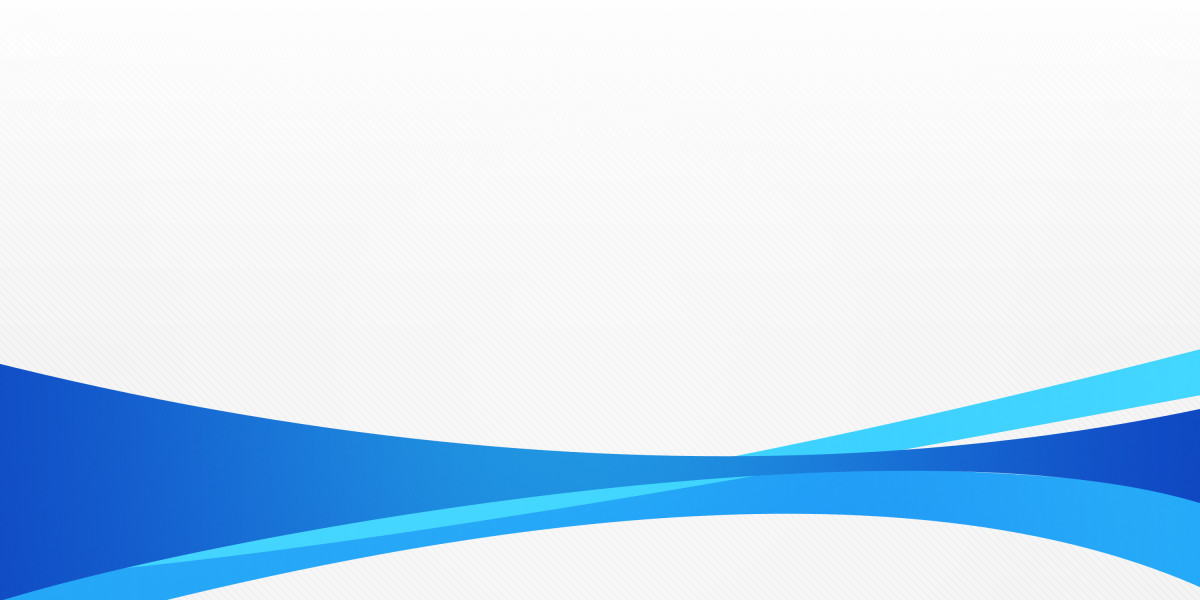 Comprehensive Study Report on VIP Jet Rental Services