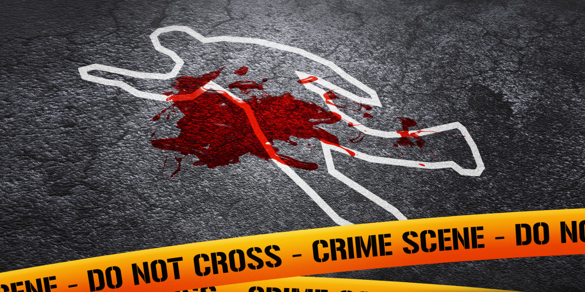 Observational Research on Bombardier Global: A Leader in Business Aviation