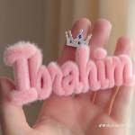 Shuaibu Ibrahim Profile Picture